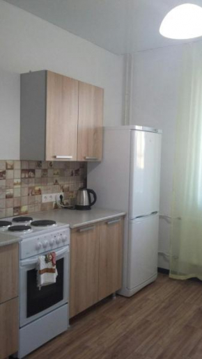 Apartment near Krasnaia ploshchad